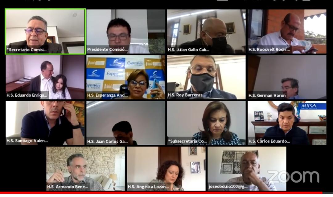 Sesión virtual Comisión Primera