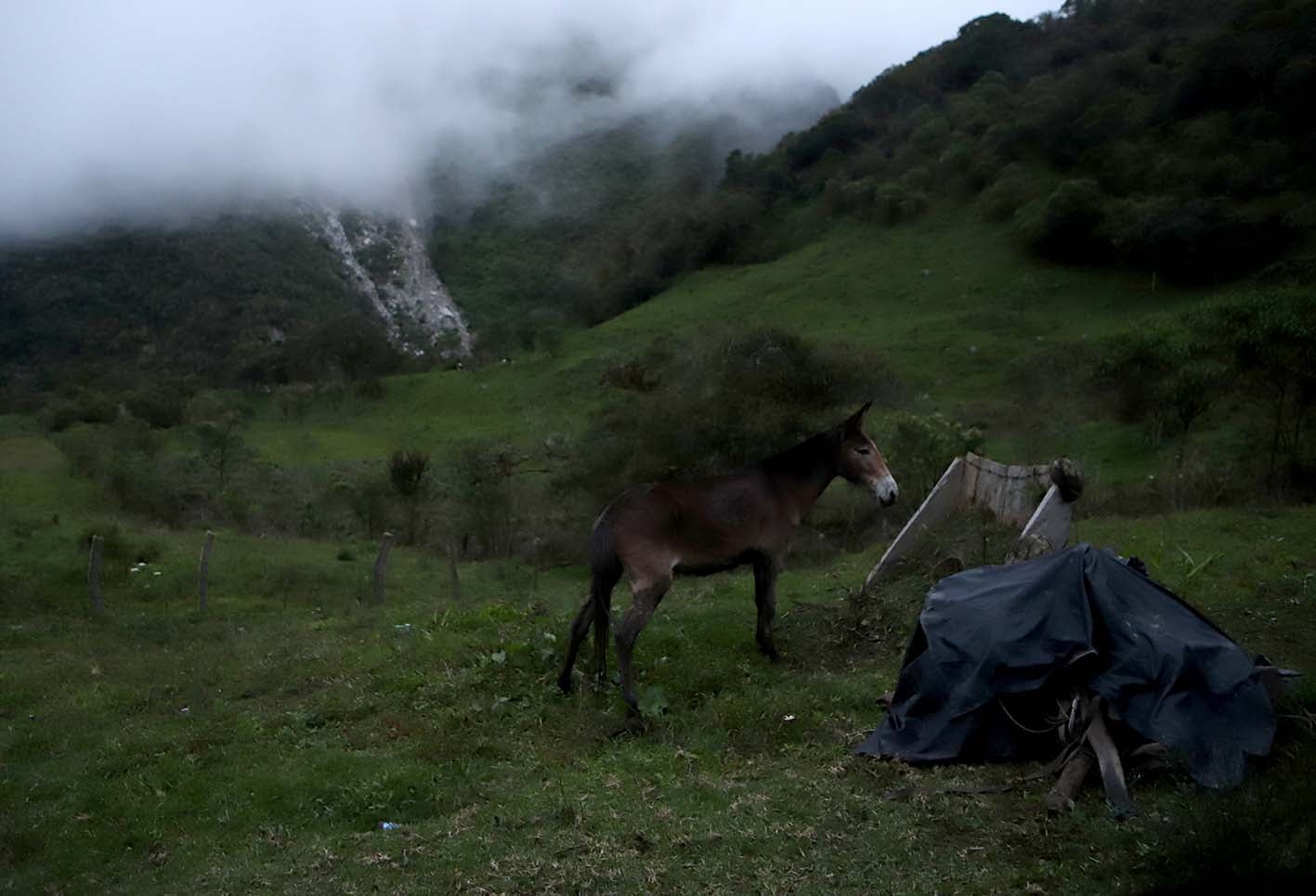 Caminos que llevan a la vereda del Duda tras atravesar el Páramo de Sumapaz