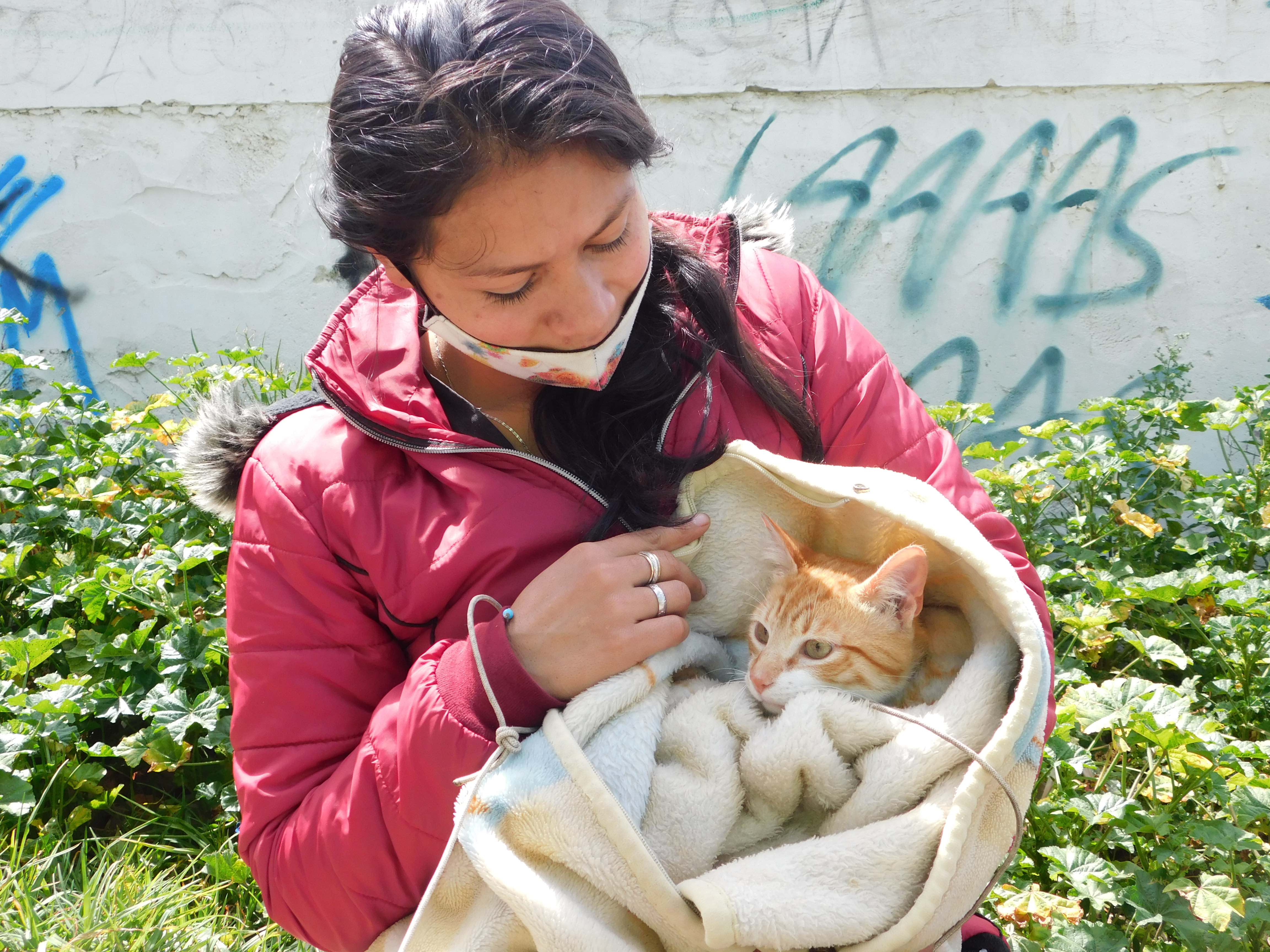 Jornada de esterilización de animales (perros y gatos)