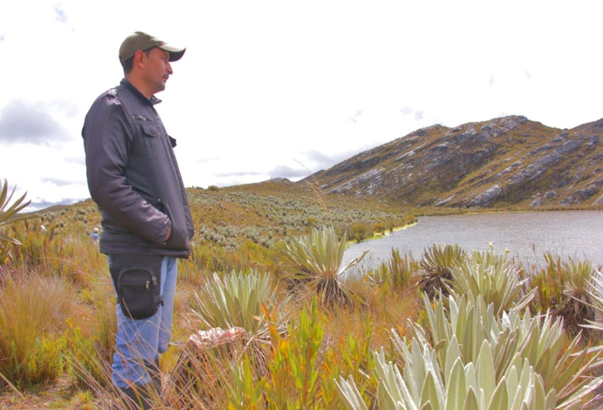 Luis Salazar, norte del Meta