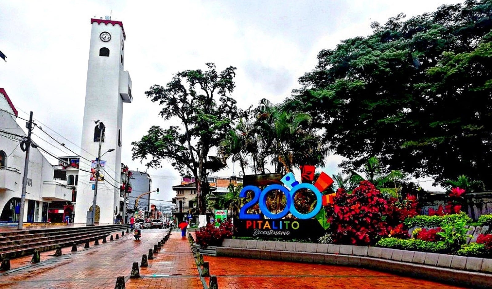 Pitalito Huila