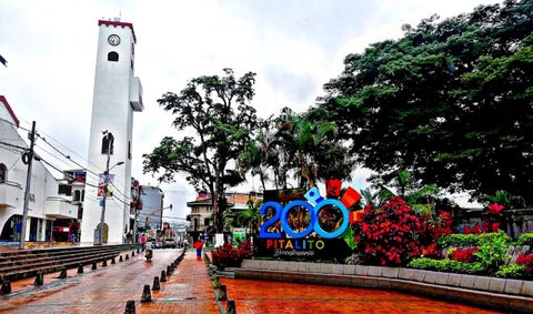 Pitalito Huila
