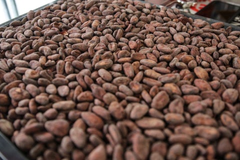 Granos de cacao