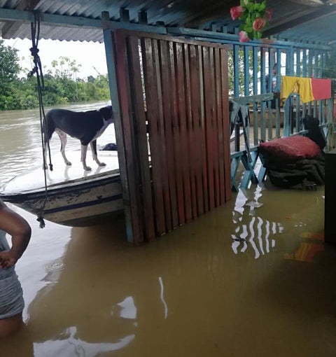 El agua ingresó a las viviendas ocasionando graves daños.