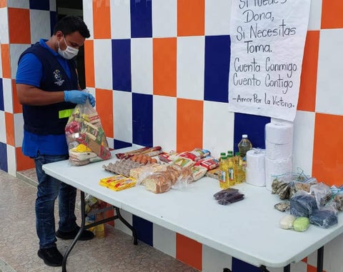 Ayudas alimentarias