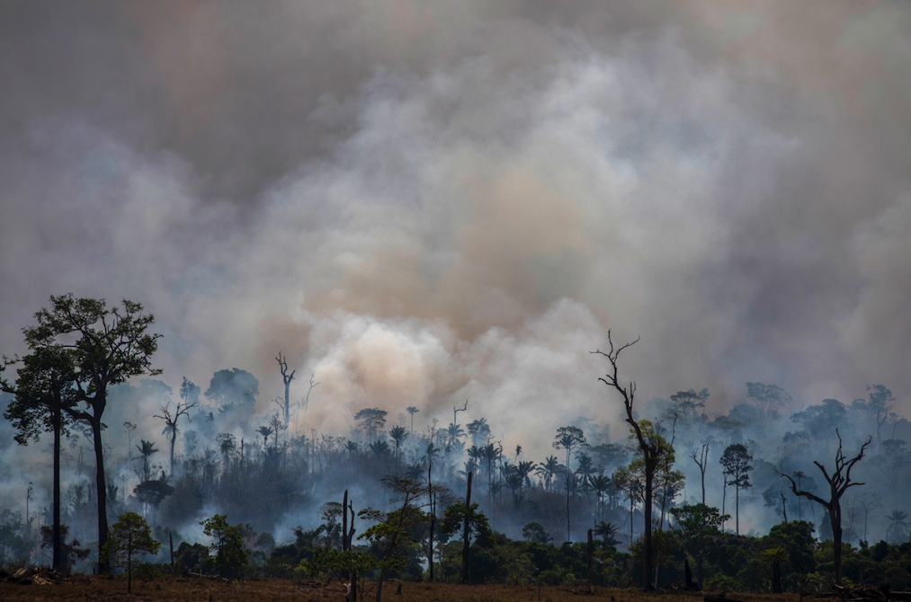 Incendios en la Amazonía brasileña
