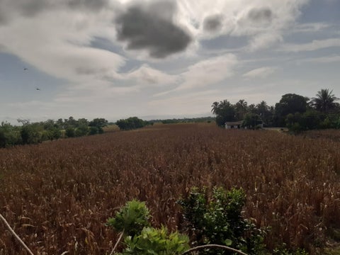 La emergencia se presenta en Chimá