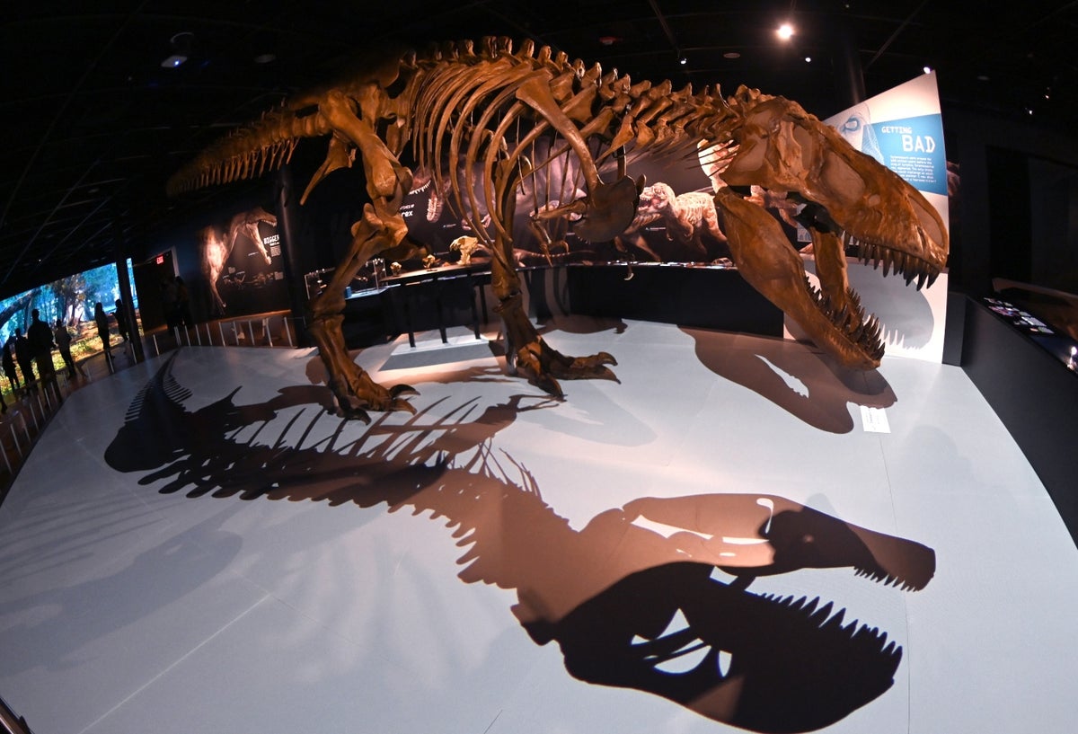 Dinosaurio