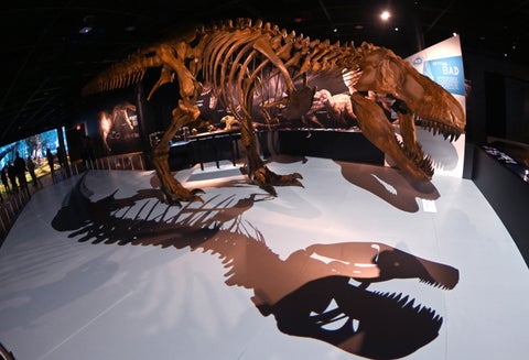 Dinosaurio