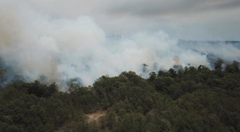 Quemas isla salamanca