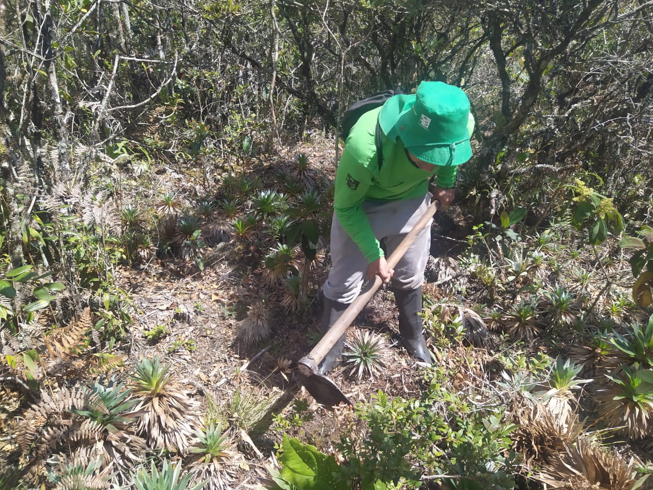 Fenómeno de El Niño: Humboldt se opone a la reforestación en esta época del año