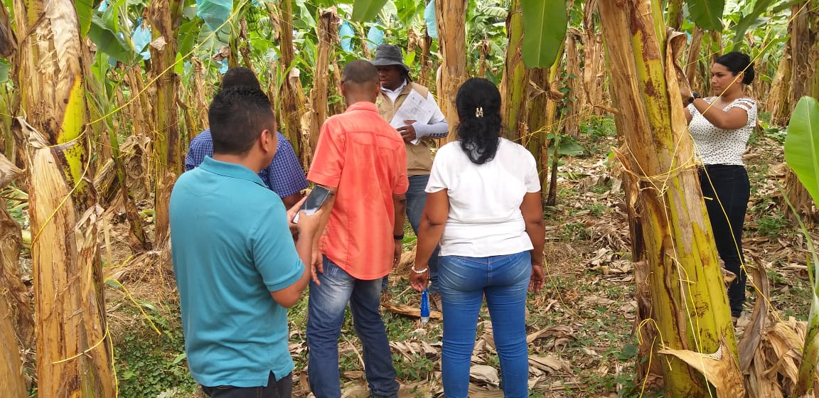 Referencia restitución de tierras en el Urabá antioqueño.