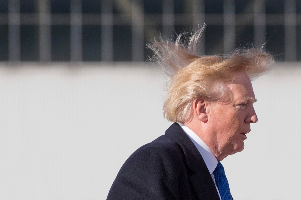 Cabello de Donald Trump