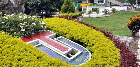 Matrícula cero para estudiantes estrato 1 y 2 de la Universidad del Tolima e ITFIP de El Espinal hasta el 2023