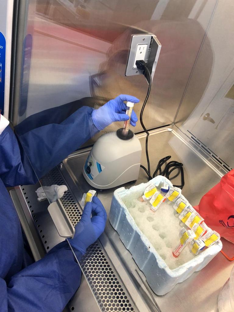 Pruebas PCR