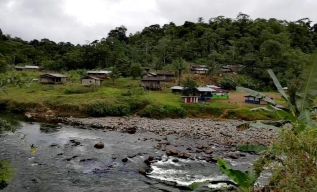 La Comunidad AWA denuncia asesinatos sistemáticos