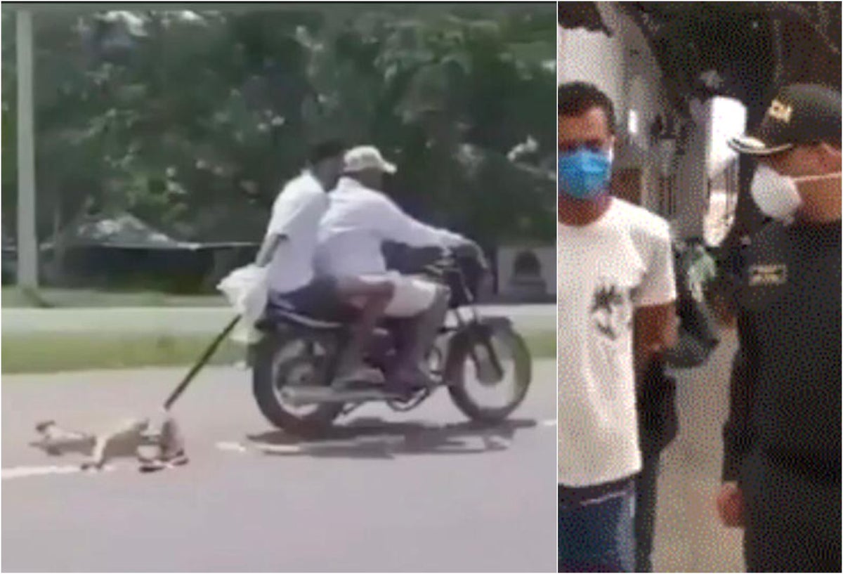 Capturan a desalmados moteros que arrastraron un perro por carretera