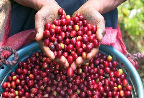 café colombiano