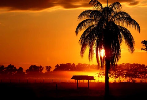 Llano de Colombia - Meta - Amanecer