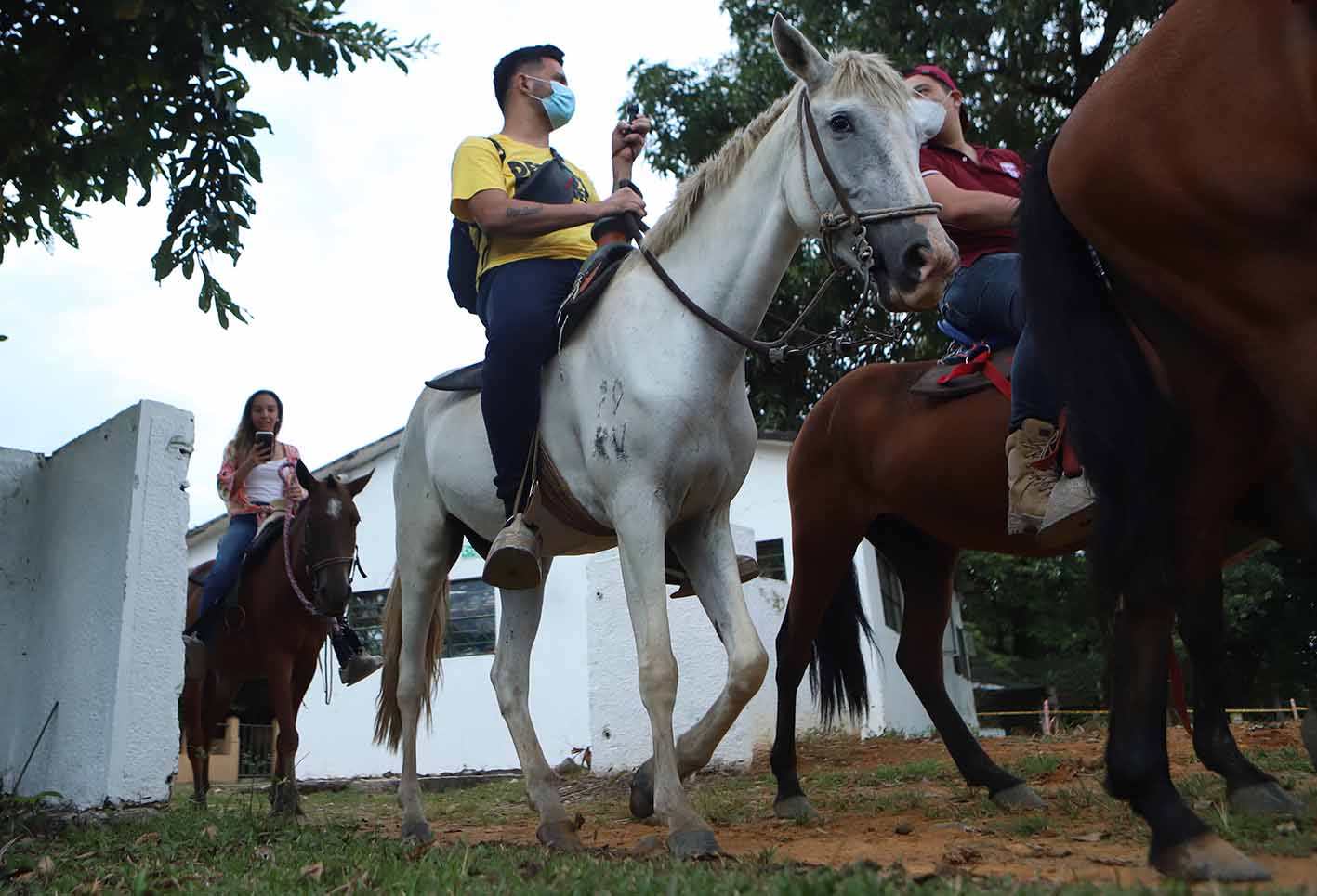 Meta - Caballos - Reactivación económica