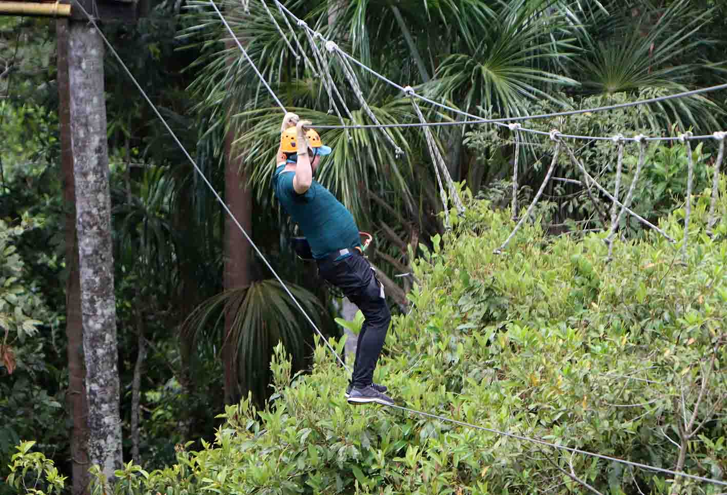 Meta - reactivación del turismo - Tiuma Park