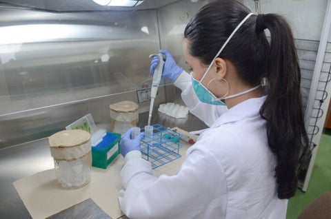 Laboratorio coronavirus
