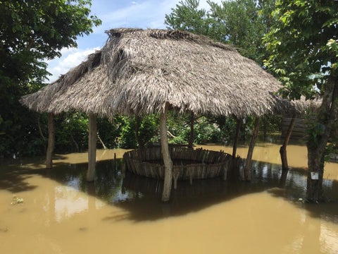 El número de familias afectadas se desconoce.