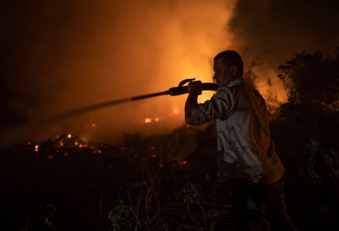 Incendios en el Pantanal brasileño