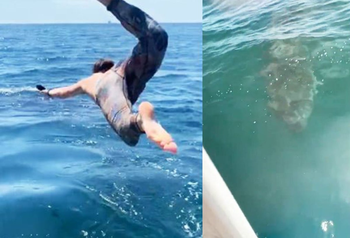 Se lanzó a nadar con un 'tiburón inofensivo' sin saber que le esperaba