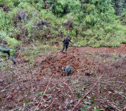 En la imagen se alcanza a dimensionar la magnitud de la explosión