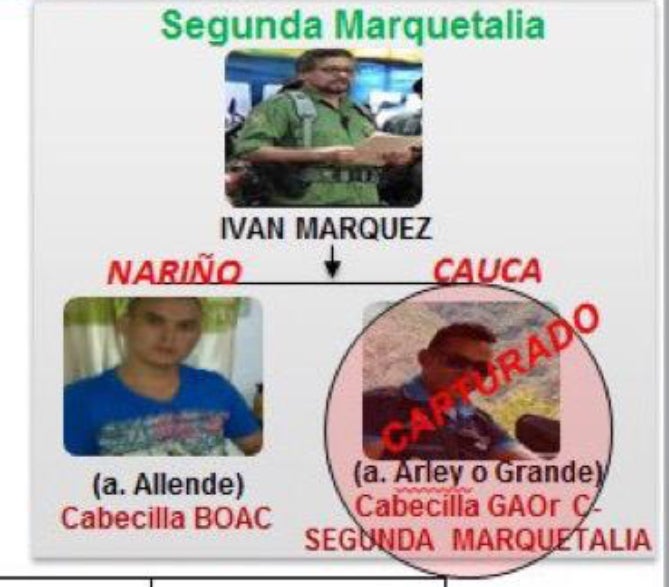 Alias Grande