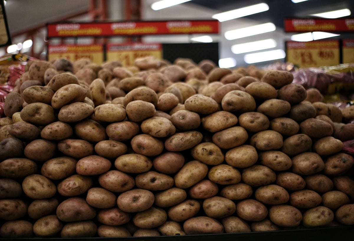 Cultivo de papa