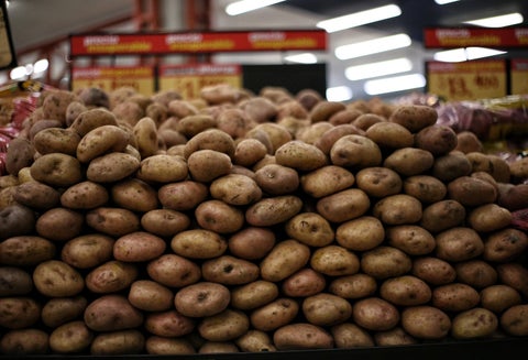 Cultivo de papa