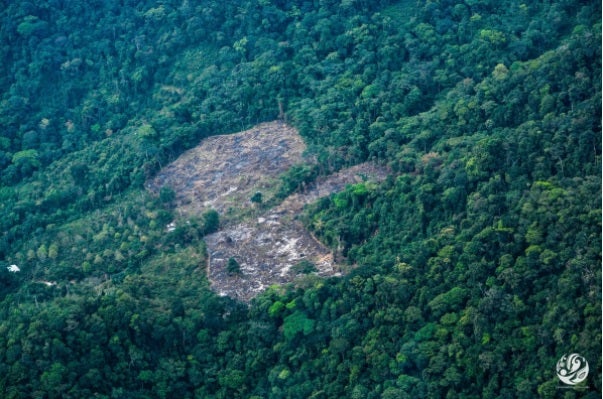 Deforestación en la Amazonia colombiana.