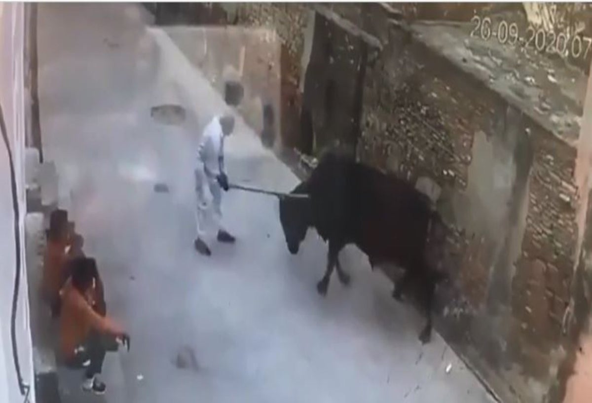 El brutal ataque de un toro a un hombre que le había pegado con un palo