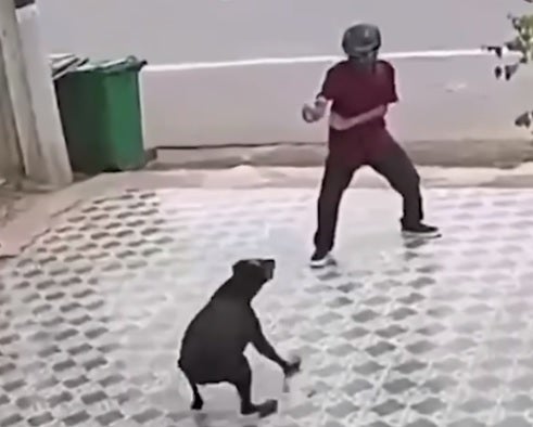 Karate Kid