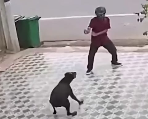 Karate Kid