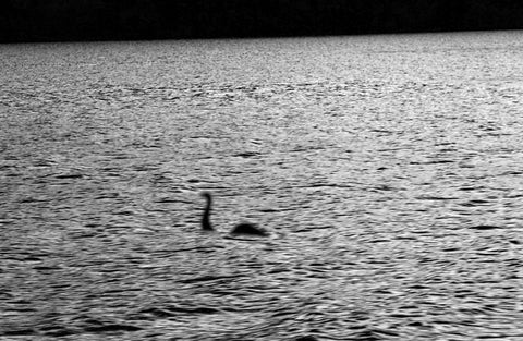 Lago Ness