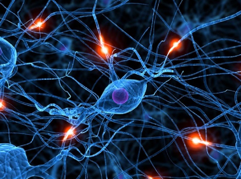 Neuronas