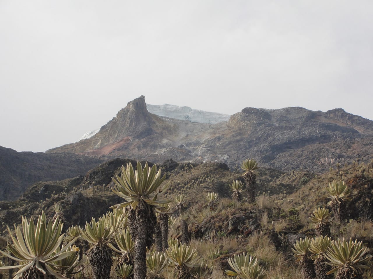 Parque Nacional Natural Los Nevados.