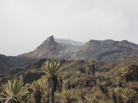 Parque Nacional Natural Los Nevados.