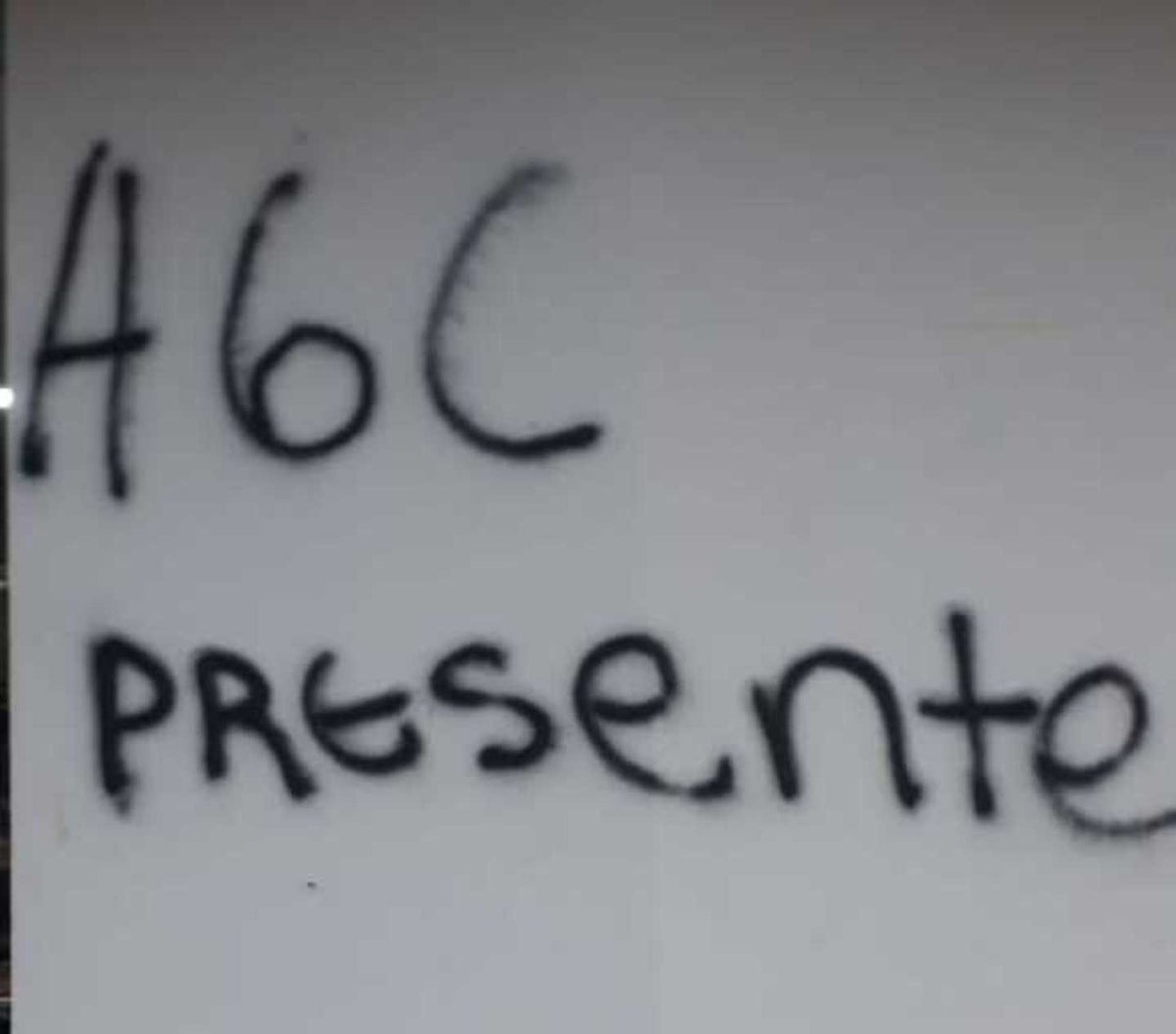 Estos fueron los grafitis pintados en viviendas y negocios.