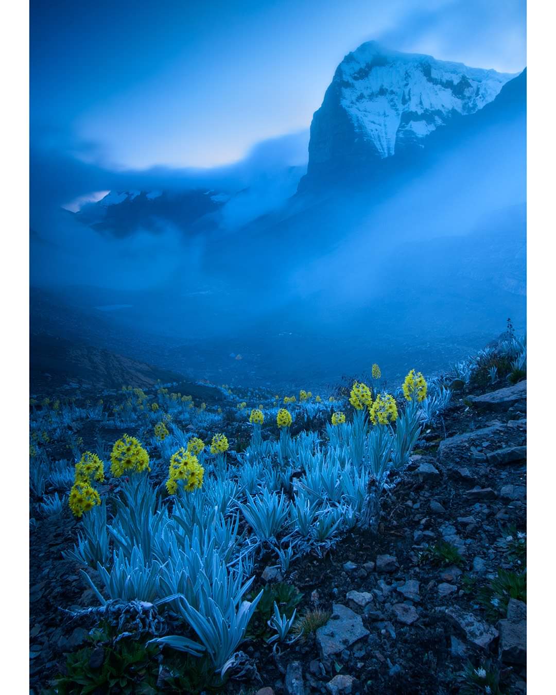 Foto, ganadora, Cocuy, Boyacá, ganadora.
