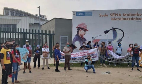 Animalistas exigen que se aclare lo ocurrido.