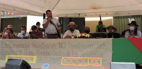 Audiencia Páez
