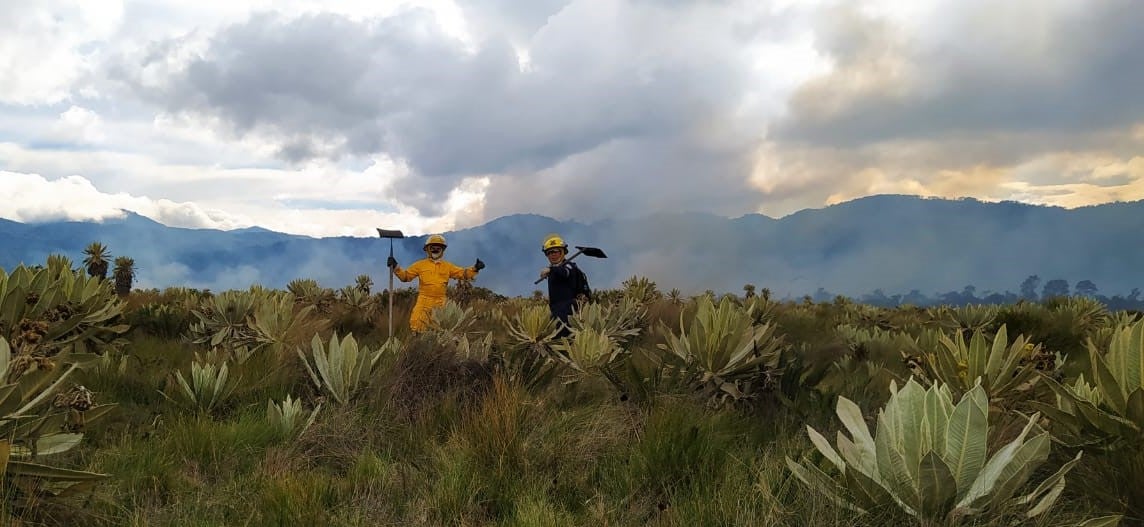 Las llamas consumieron 80 hectareas