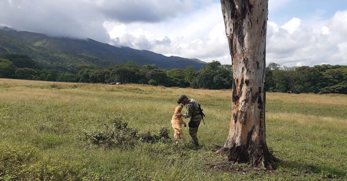 Ejercito, soldado, campo minado