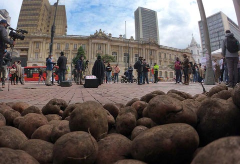 Sobreoferta de papa en Colombia: protesta de paperos en Ministerio de Agricultura