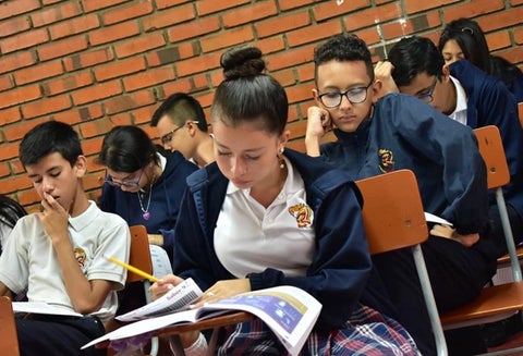 Icfes Ibagué