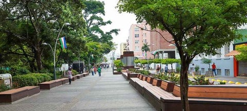 Desde la Dirección Administrativa Especial de Bienes y Servicios se ejecutarán una serie de inversiones en ornato y limpieza para este corredor peatonal y turístico durante el último bimestre de 2020.